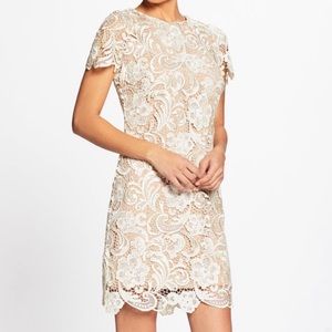New Dress The Population Lace Sheath Dress